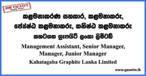 Management Assistant, Manager - Kahatagaha Graphite Lanka Limited Vacancies 2023