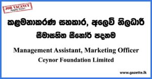 Management Assistant, Marketing Officer - Ceynor Foundation