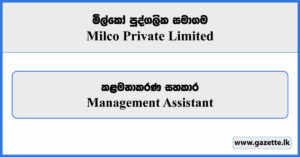Management Assistant - Milco Private Limited Vacancies 2026