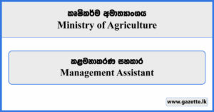 Management Assistant - Ministry of Agriculture Vacancies 2024