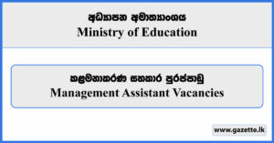 Government Management Assistant Vacancies 2023 - Ministry of Education Vacancies