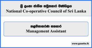 Management Assistant - National Cooperative Council of Sri Lanka Vacancies 2024