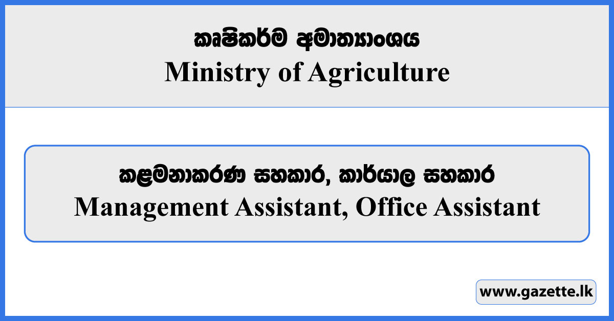 Management Assistant, Office Assistant - Ministry of Agriculture Vacancies 2023