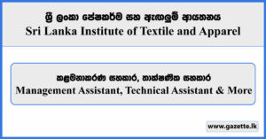 Management Assistant, Technical Assistant - Sri Lanka Institute of Textile and Apparel Vacancies 2023