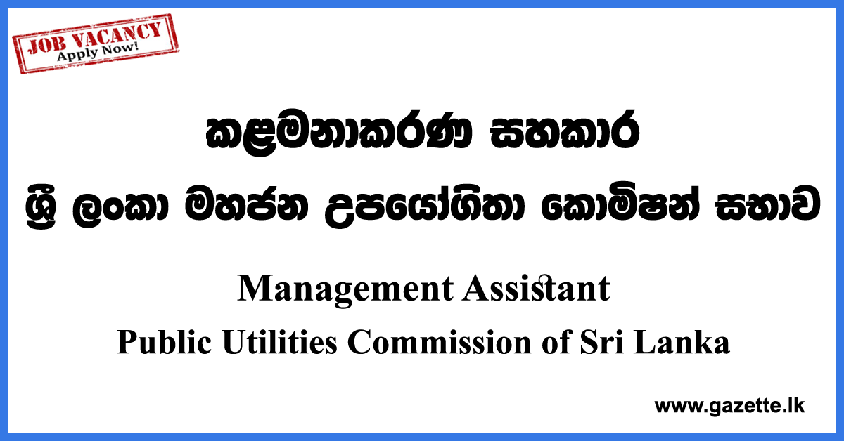 Management Assistant Vacancies