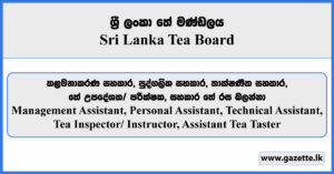 Management Assistant, Personal Assistant, Technical Assistant, Tea Inspector, Instructor, Assistant Tea Taster - Sri Lanka Tea Board Vacancies 2025