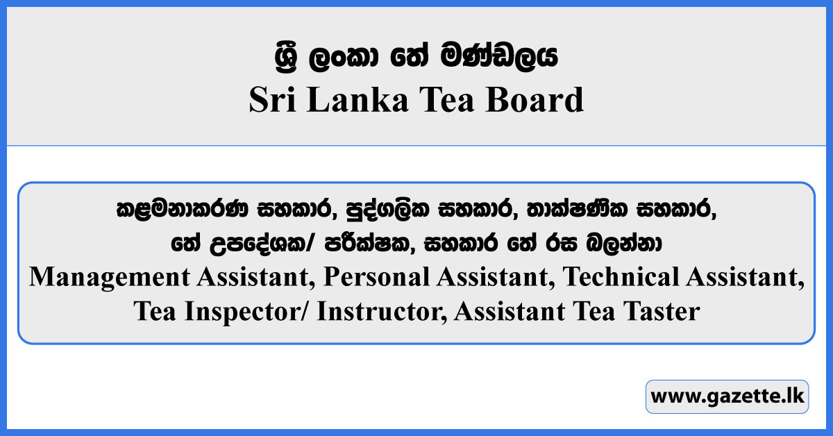 Management Assistant, Personal Assistant, Technical Assistant, Tea Inspector, Instructor, Assistant Tea Taster - Sri Lanka Tea Board Vacancies 2025