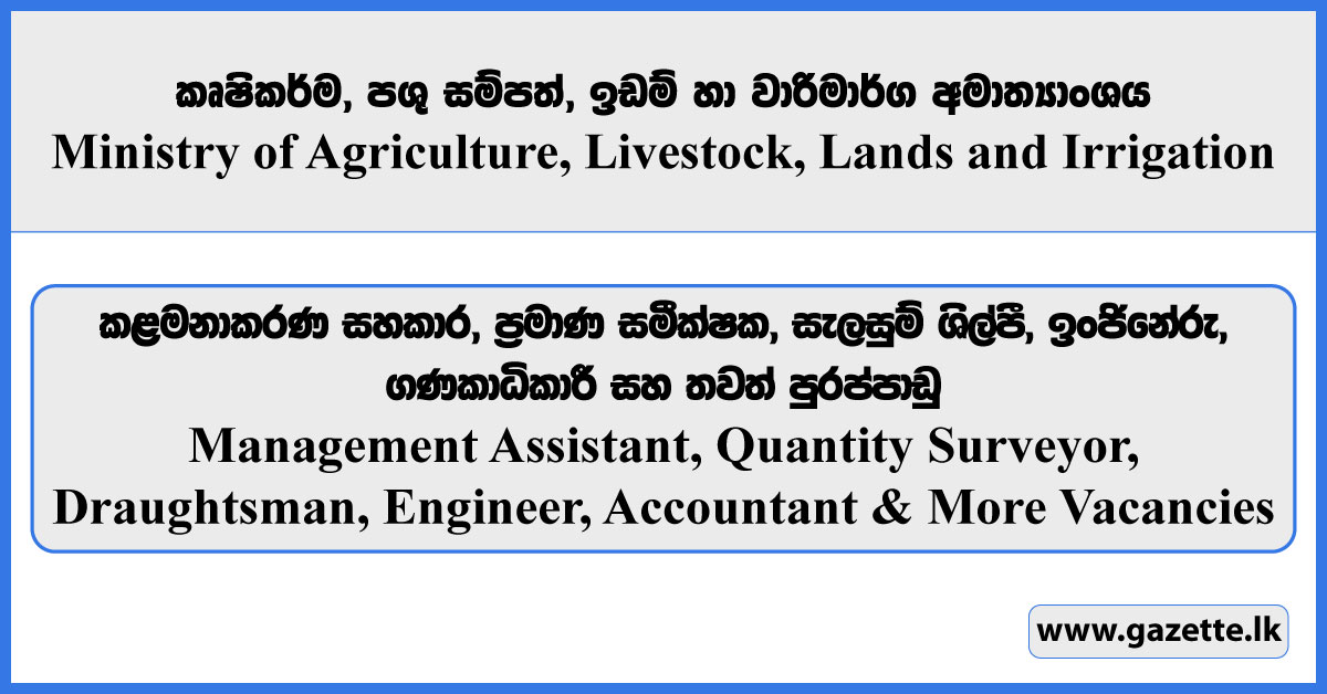 Management Assistant, Quantity Surveyor, Draughtsman, Engineer ...