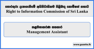 Management Assistant - Right to Information Commission Vacancies 2026