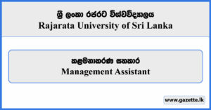 Management Assistant - Rajarata University Vacancies 2025