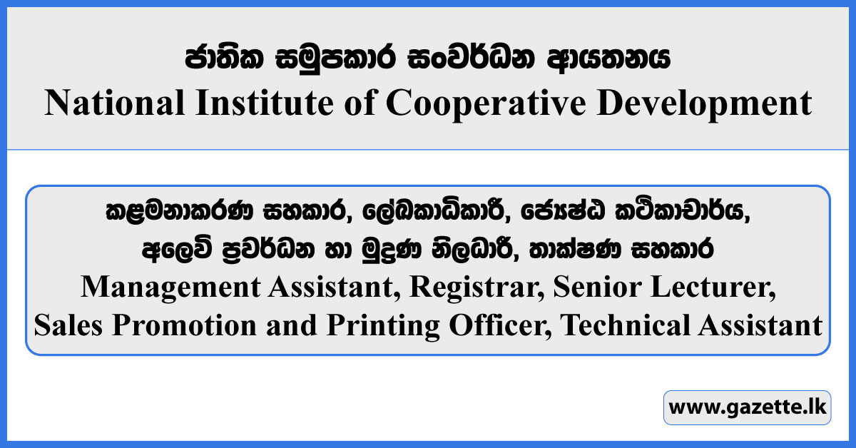 Management Assistant, Registrar, Senior Lecturer, Sales Promotion and Printing Officer, Technical Assistant - National Institute of Cooperative Development Vacancies 2025
