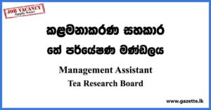 Management Assistant Job Vacancies Sri Lanka 2023 - Tea Research Board Vacancies