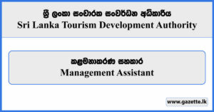 Management Assistant - Sri Lanka Tourism Development Authority Vacancies 2024