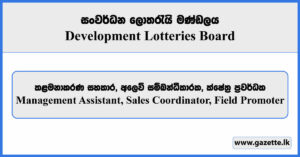 Management Assistant, Sales Coordinator, Field Promoter - Development Lotteries Board Vacancies 2025