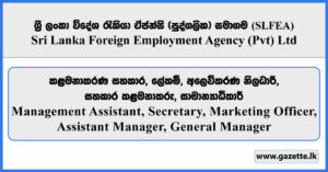 Management Assistant, Secretary, Marketing Officer, Assistant Manager, General Manager - Sri Lanka Foreign Employment Agency (Private) Limited Vacancies 2026