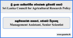 Management Assistant, Senior Scientist - Sri Lanka Council for Agricultural Research Policy Vacancies 2025