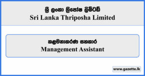 Management Assistant - Sri Lanka Thriposha Limited Vacancies 2024