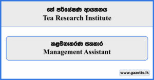 Management Assistant - Tea Research Institute Vacancies 2024
