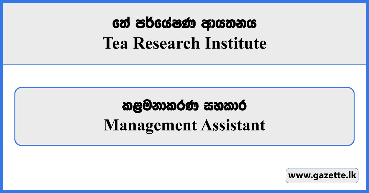 Management Assistant - Tea Research Institute Vacancies 2024