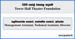 Management Assistant, Technical Assistant, Director - Tower Hall Theatre Foundation Vacancies 2025