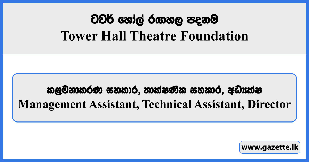 Management Assistant, Technical Assistant, Director - Tower Hall Theatre Foundation Vacancies 2025