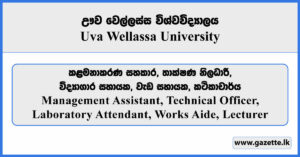 Management Assistant, Technical Officer, Laboratory Attendant, Works Aide, Lecturer - Uva Wellassa University Vacancies 2025