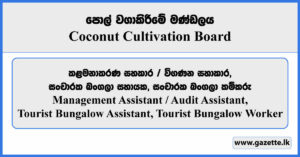Management Assistant, Tourist Bungalow Assistant, Tourist Bungalow Worker - Coconut Cultivation Board Vacancies 2024