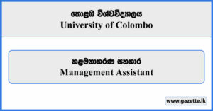 Management Assistant - University of Colombo Vacancies 2025