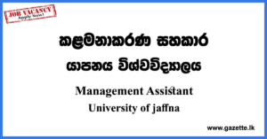 Management Assistant Vacancies