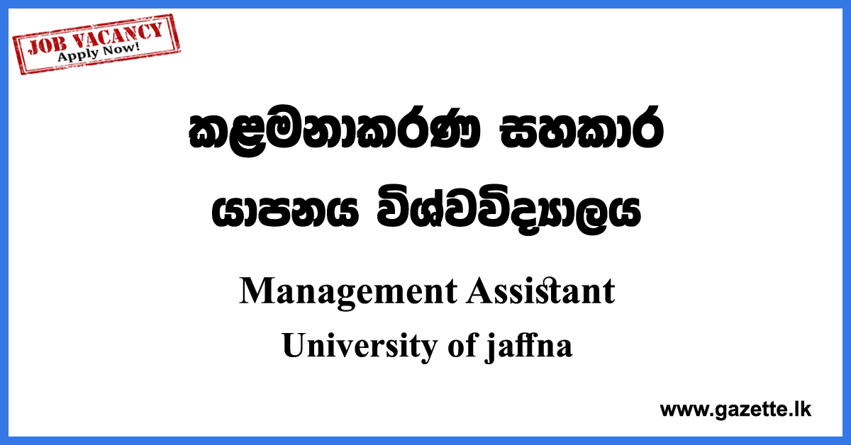 Management Assistant Vacancies