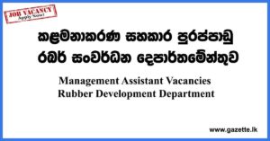 Management-Assistant-Vacancies