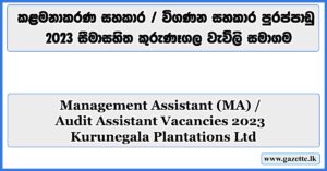Management-Assistant-Vacancies