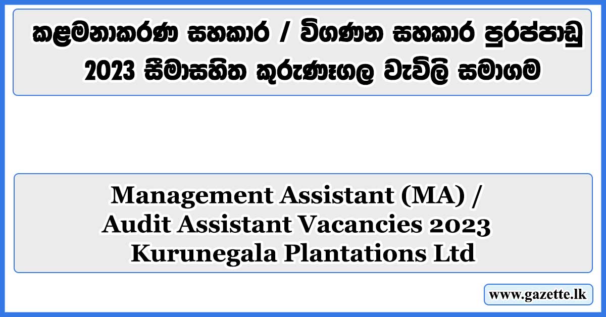 Management-Assistant-Vacancies