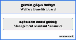 Management Assistant Vacancies 2024 - Welfare Benefits Board