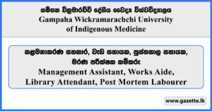 Management Assistant, Works Aide, Library Attendant, Post Mortem Labourer - Gampaha Wickramarachchi Universityof Indigenous Medicine Vacancies 2025