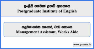 Management Assistant, Works Aide - Postgraduate Institute of English Vacancies 2025