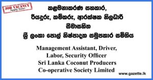 Management-Assistant-coconut