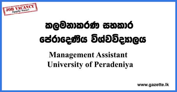 Management-Assistant