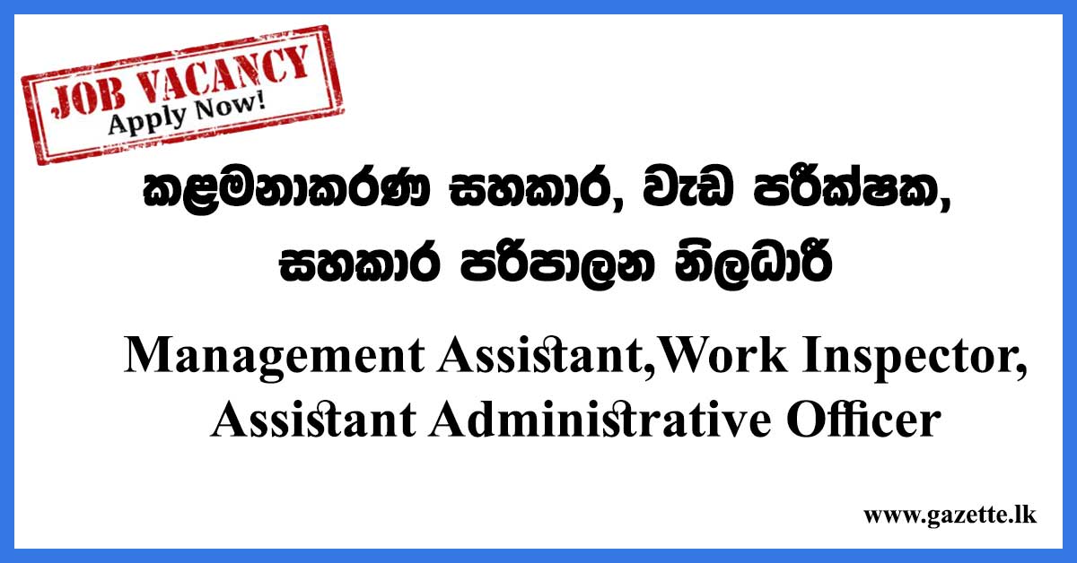 Management-Assistant,Work-Inspector,Assistant-Administrative-Officer