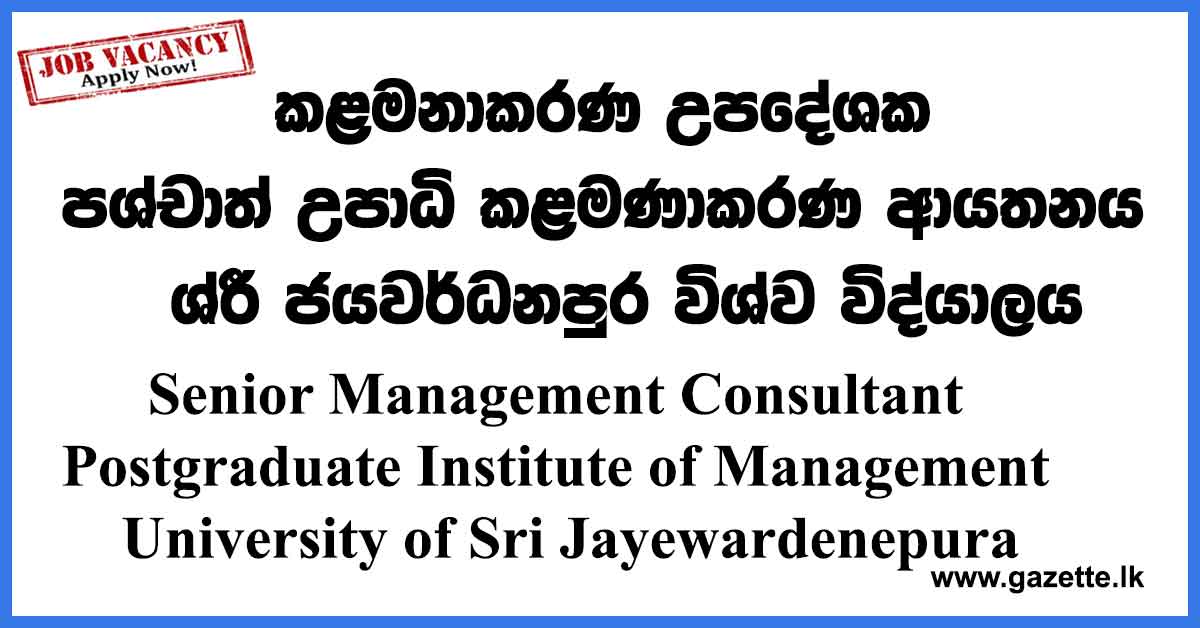 Management-Consultant