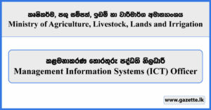 MIS (ICT) Officer - Ministry of Agriculture, Livestock, Lands and Irrigation Vacancies 2025