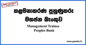 Management-Trainee