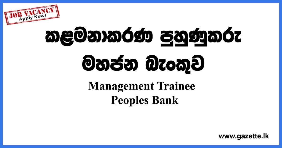 Management-Trainee