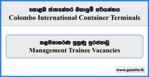 Management Trainee - Colombo International Container Terminals Vacancies 2024
