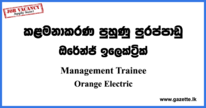 Management Trainee Vacancies