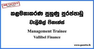 Management Trainee Vacancies 2023 - Vallibel Finance Vacancies