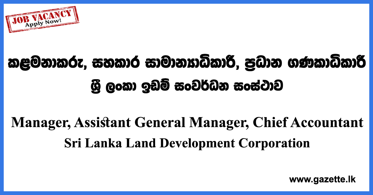 Manager, Assistant General Manager, Chief Accountant
