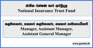 Manager, Assistant Manager, Assistant General Manager - National Insurance Trust Fund Vacancies 2024