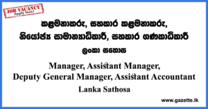 Manager, Assistant Manager, Deputy General Manager, Assistant Accountant