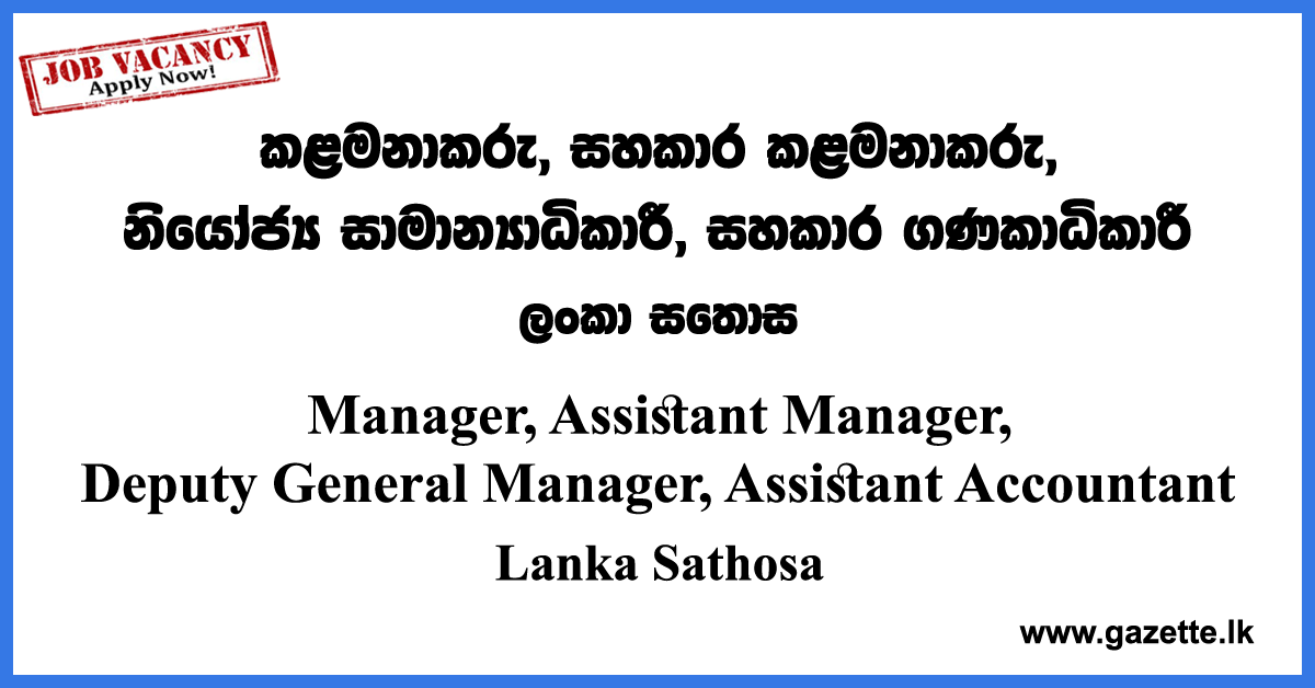 Manager, Assistant Manager, Deputy General Manager, Assistant Accountant